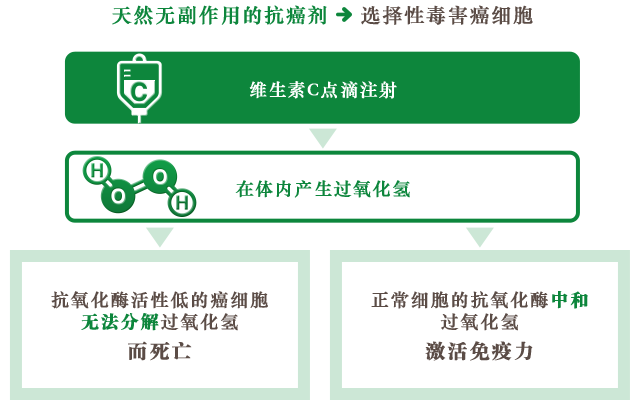 天然无副作用的抗癌剂 选择性毒害癌细胞 维生素C点滴注射 在体内产生过氧化氢 抗氧化酶活性低的癌细胞无法分解过氧化氢而死亡。 正常细胞的抗氧化酶中和过氧化氢激活免疫力。